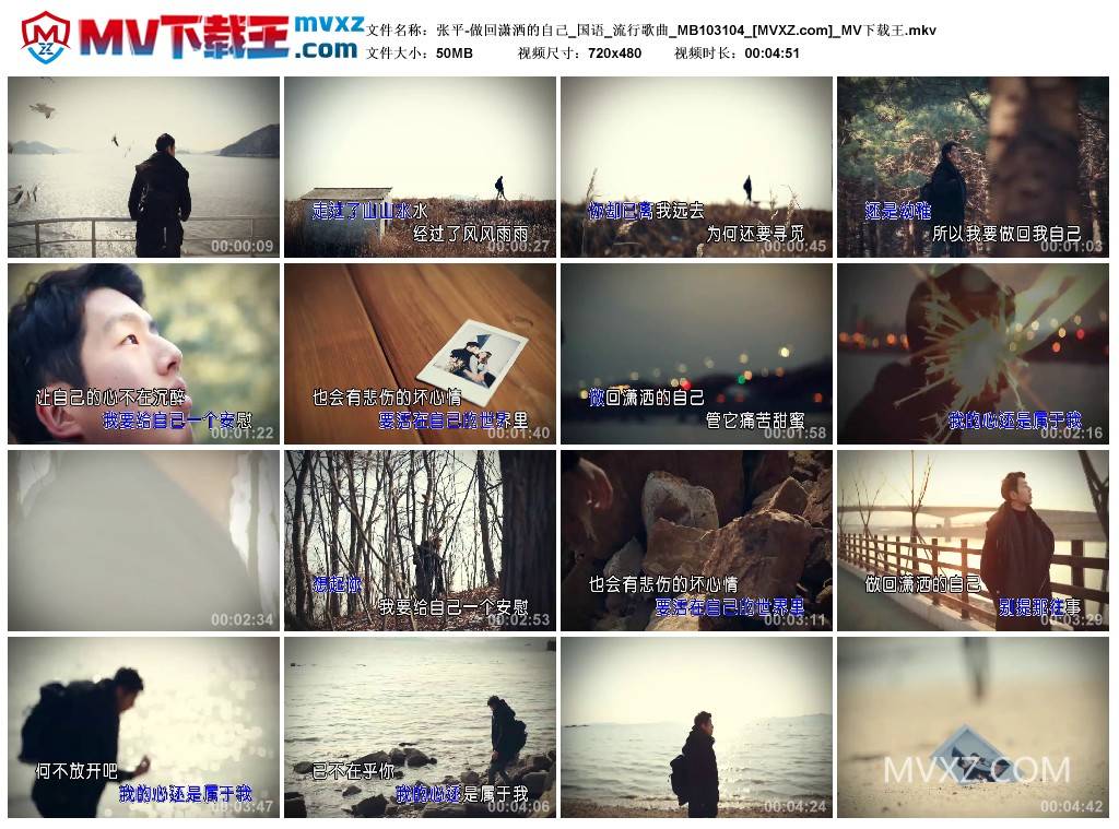 张平-做回潇洒的自己_国语_流行歌曲_MB103104